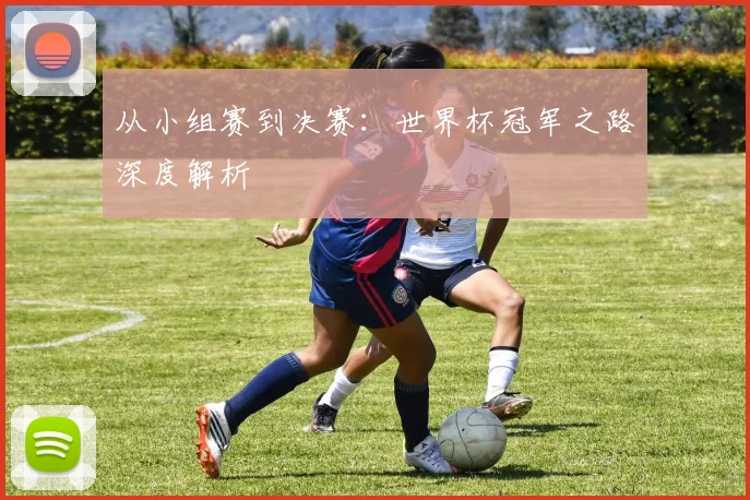 从小组赛到决赛：世界杯冠军之路深度解析