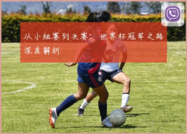 从小组赛到决赛：世界杯冠军之路深度解析