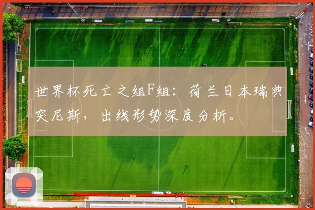 世界杯死亡之组F组：荷兰日本瑞典突尼斯，出线形势深度分析。